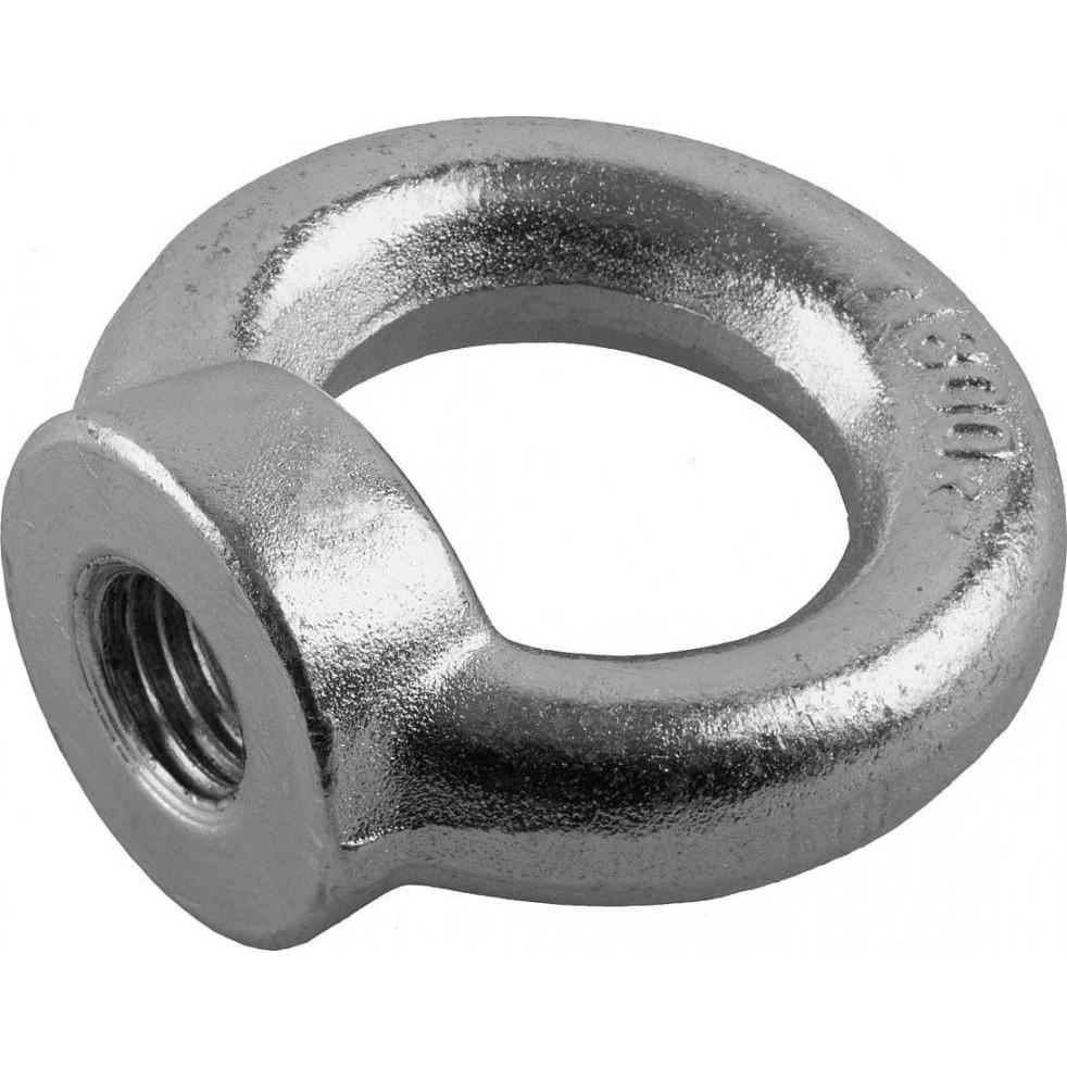

Eye Nut Bison 4-304325-06 Professional