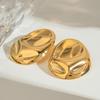 European-American 18K Metal Earrings - Stainless Steel Studs, High-End Titanium Jewelry, Exaggerated Design, INS Style.