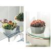 Thickened 6 Cell Round Nursery Pot Trays with 6Inch Pots Plant Shuttle Tray For Indoor And Outdoor Gardening Use
