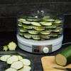 Electric Dryer For Mushrooms, Fruit, Herbs Klausberg Kb-7567