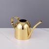 Rose Gold Stainless Steel Watering Can with Spout, Retro Style, 1000ML for Succulents and Green Plants