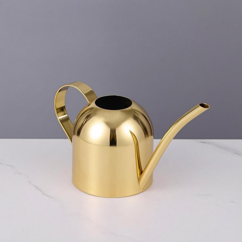 Rose Gold Stainless Steel Watering Can with Spout, Retro Style, 1000ML for Succulents and Green Plants