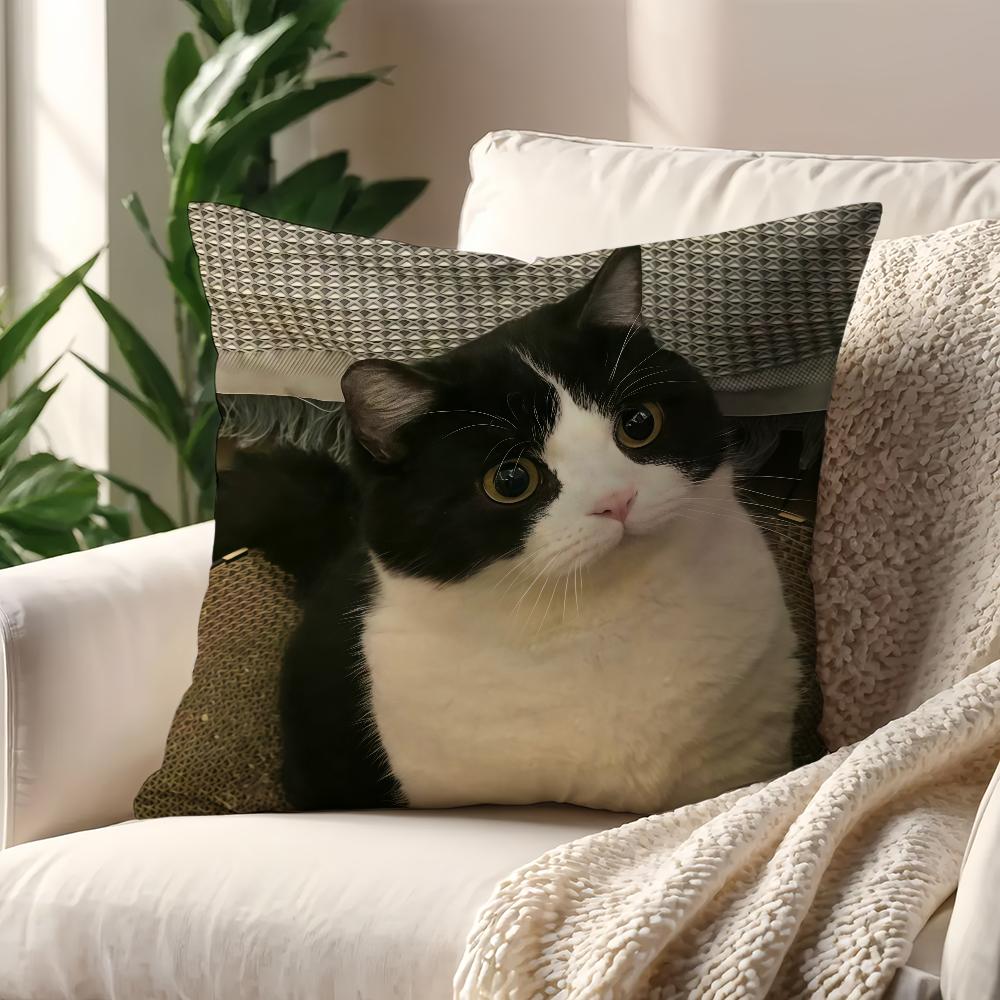 Black White Cat Cute Cow Cat Cushion Cover For Pillow Printing Sofa Decoration Home Car Room Coffee Shop Office NordicSimplicity