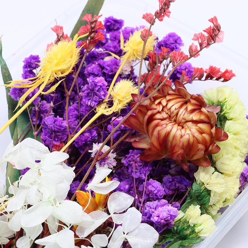 Handmade DIY Kit: Natural Preserved Flowers Variety for Valentine's Day Gift Bouquets