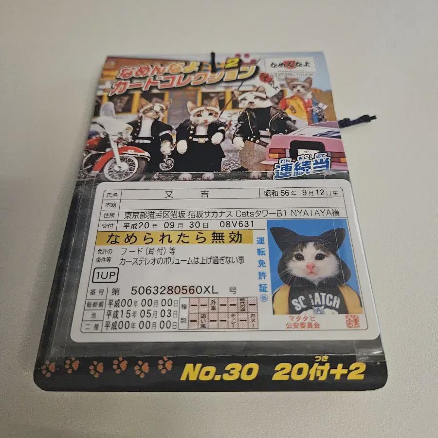 

Nameneko Kard Set