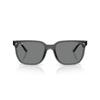 0RB4466D-645087-47 Sun-blocking Sunglasses