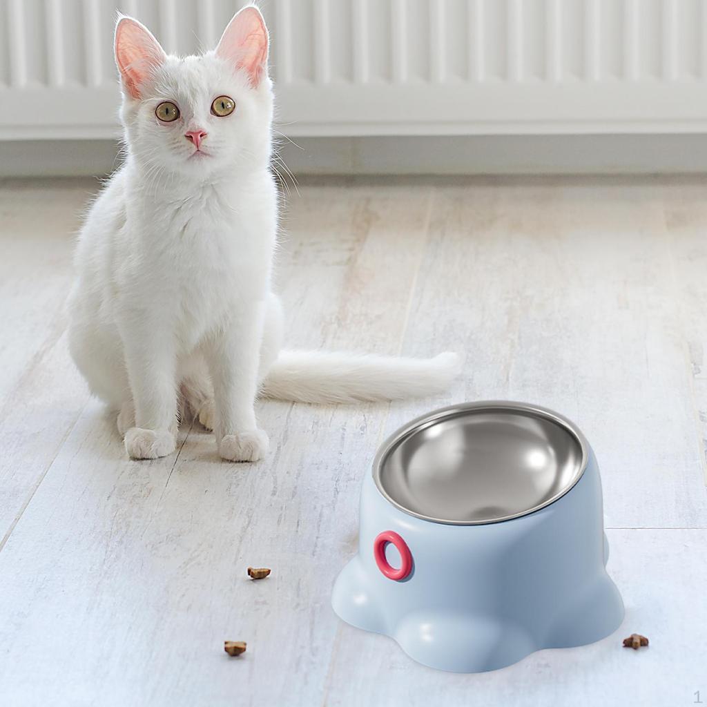 Tilted Cat Feeder Bowl Water Feeding Dish Food Dispenser for Small Dogs