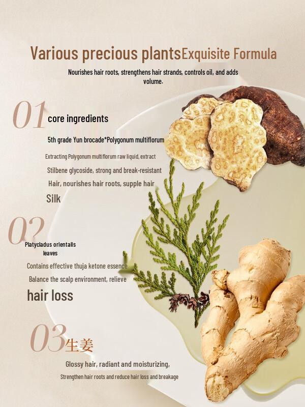 Bawang He Shou Wu Hair Growth & Strengthening Shampoo