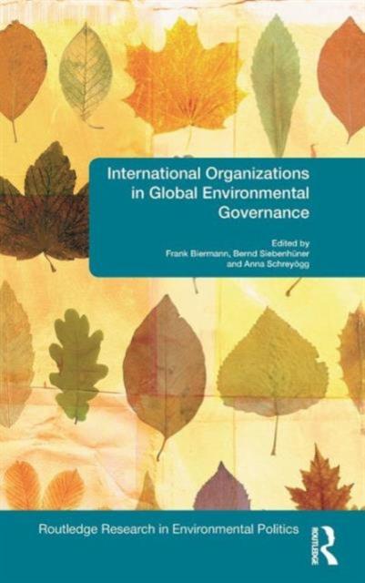 The International Organizations In Global Environmental Governance Book