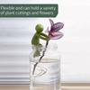 3pcs Cute Plant Support Plant Propagation Buddy For A Plant Propagation Station Sprouts Stems Shoots Cuttings