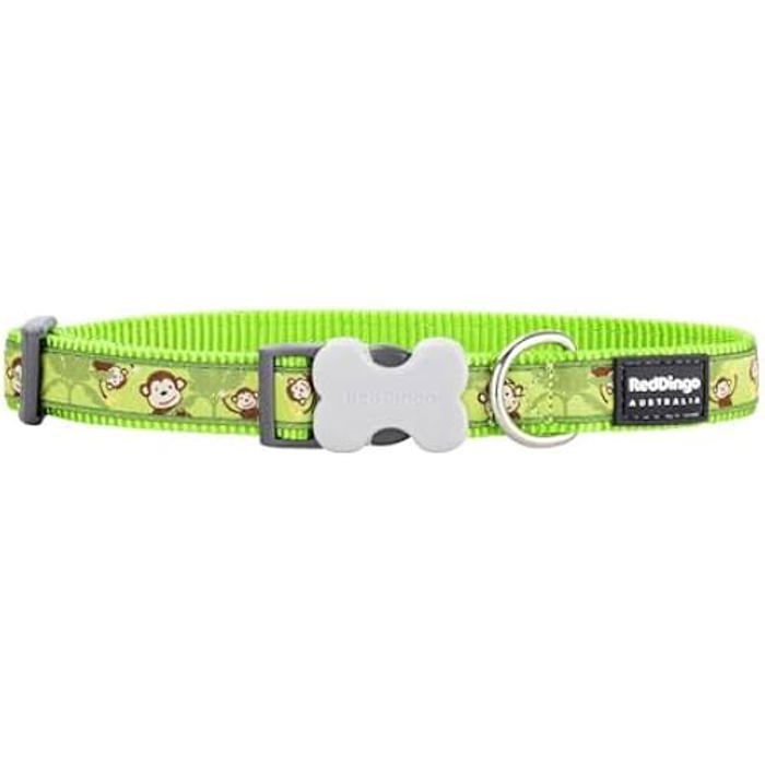 Collier Pour Chien - RED DINGO - Style Monkey Lime - 15 X 24-36 Cm - Multicolore - Taille Moyen