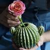 Creative Cactus Ceramic Vase Cute Household Desktop Decoration High End Green Flowers Arrangement Vase Living Room Decoration