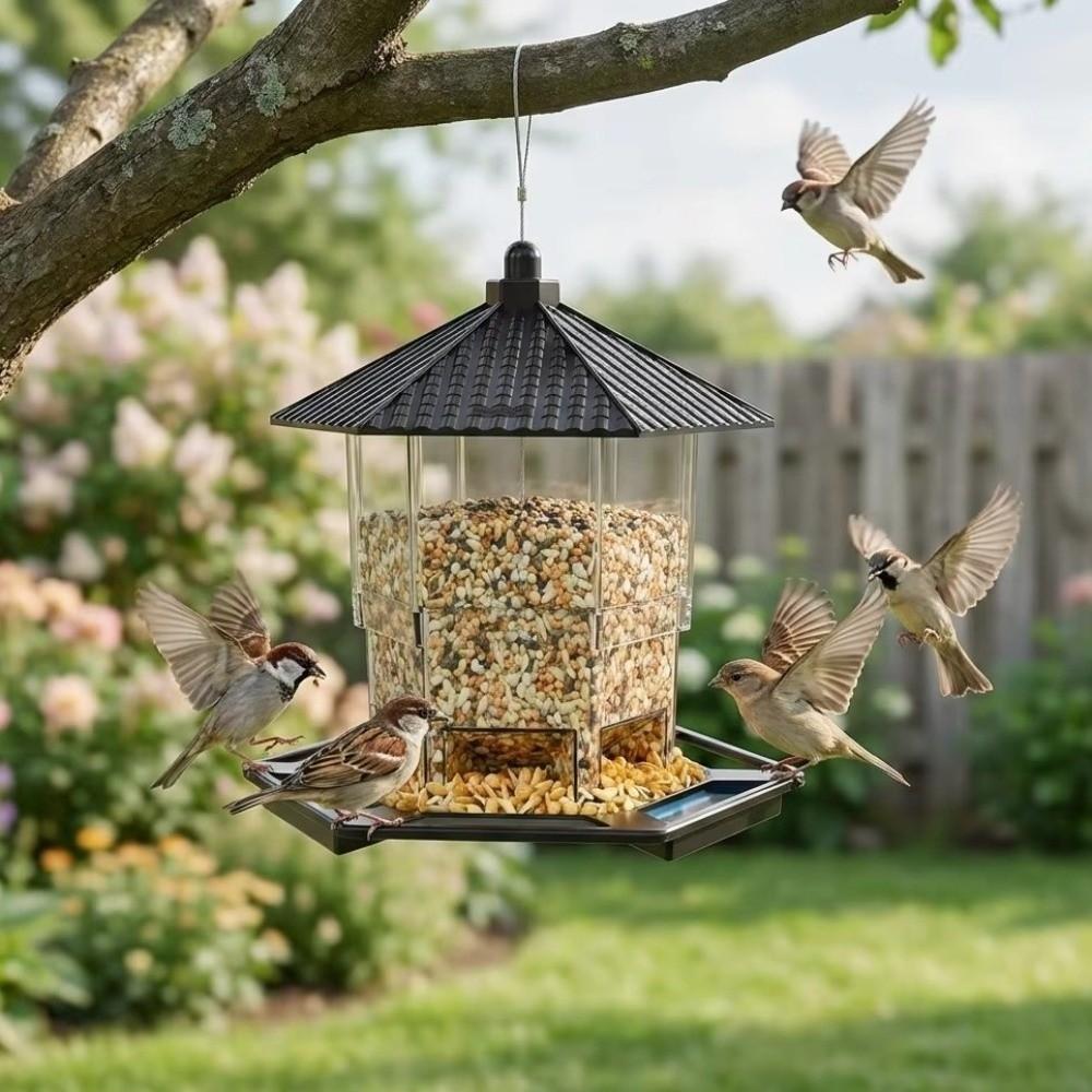 Odporny na wiewiórki karmnik dla ptaków Przezroczysta stacja karmienia ptaków Taca z żerdką na ptaki Balkon