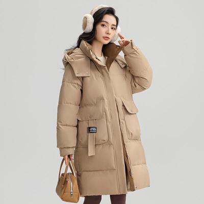 Autumn Winter Thicken Warm Long Stand Collar Parka Women Casual Solid Color Big Pocket Loose Hooded Coat Jackets Outwear