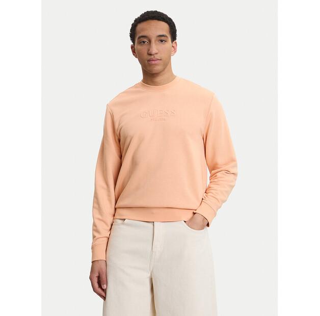 Толстовка Guess M6GQ07 K3045 EU XXL 15880₽