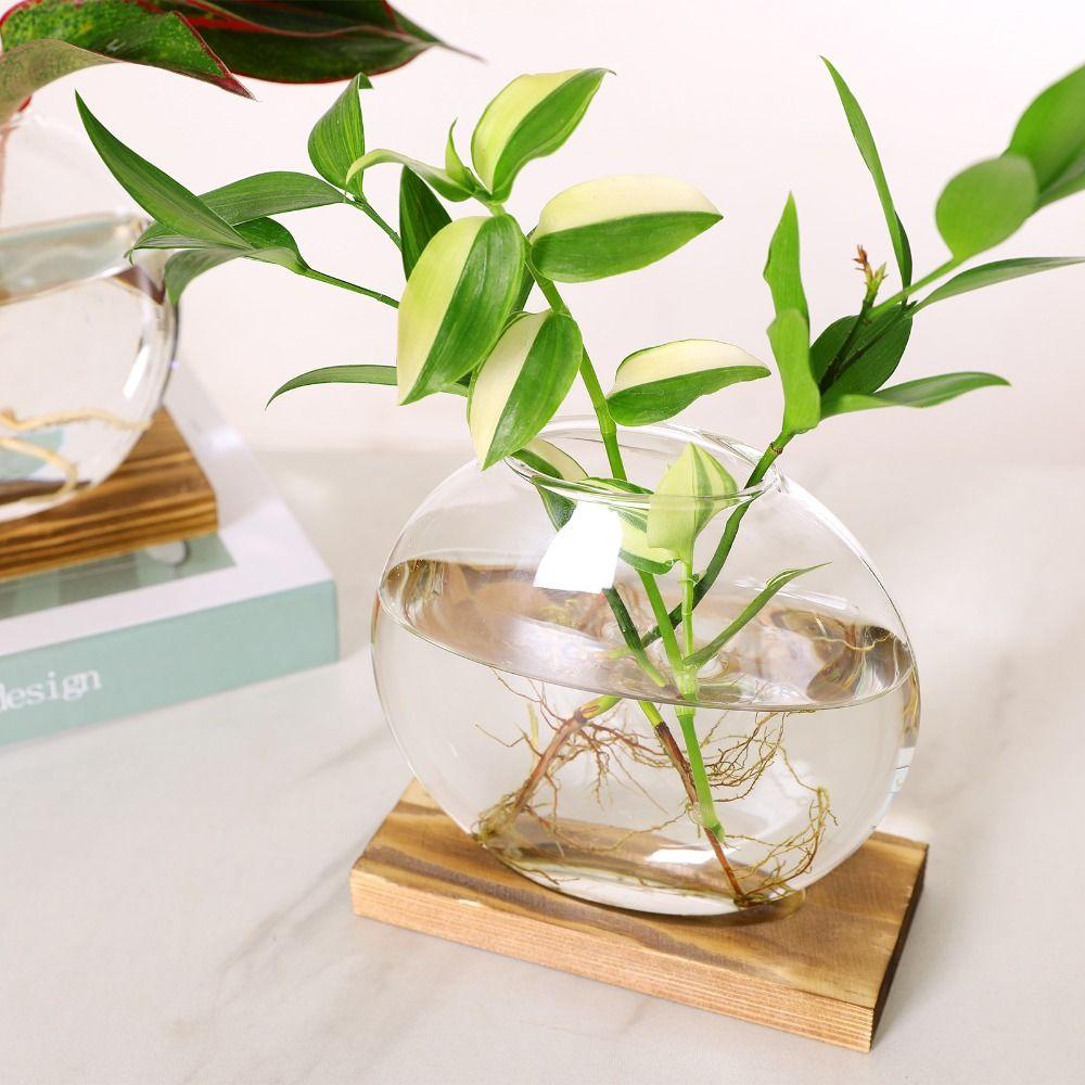 Transparent Glass Round Glass Planters Wooden Stand Plants Glass Vase Plant Lover Gift