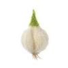 3pcs Eco-Friendly Kiwi Fruit Dishwashing Cloth Microfiber Oil Cleaning Toast Wiping Rags Non Scratch Multi-purpose
