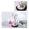 LED Lamp Glass Cover Rose Flower Micro Landscape Decorative Light Christmas Gift