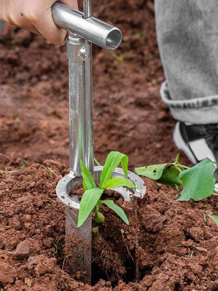 Pflanzen- und Obstbaum-Setzling-Umpflanzer Metalllegierung Bodenprobennehmer Handheld Gartenfass-Umpflanzer Landwirtschaftlicher Stecher