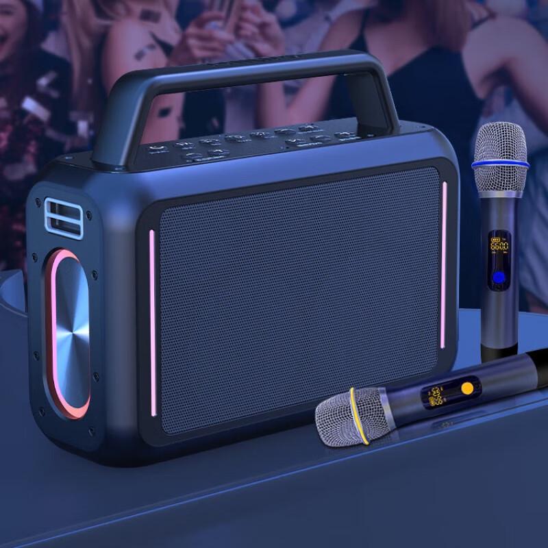 Philips SD228 Portable Outdoor Bluetooth Speaker with Dual Microphones