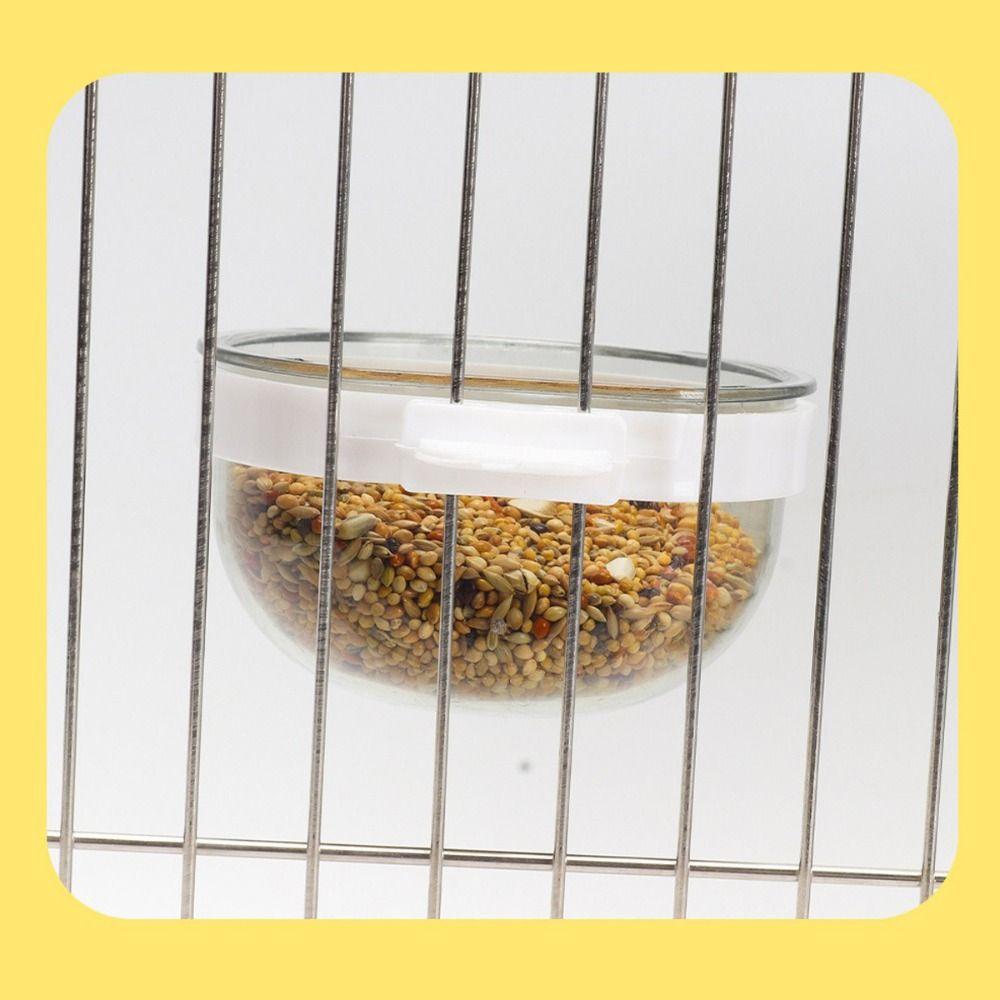 Detachable Parrots Food Cup Transparent Bird Feeder Sturdy Bird Food Dispenser  Pigeons