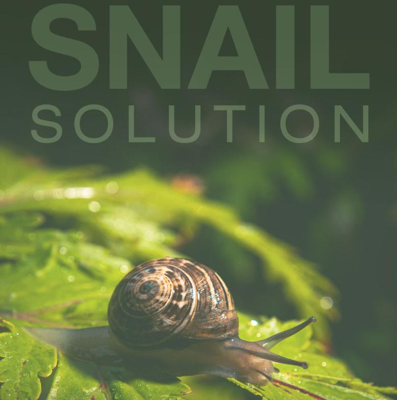 Esfolio Black Snail Cica Sleeping Mask – Calm & Revitalize Skin