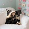 AnimeOmniscientsReadersViewpoint Case Plush Fabric Soft Pillowcase Double Sided Print Cushion Cover Household Gifts