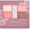 Canmake Perfect Stylist Eyes V22 Apricot Beach Eye Shadow 22 Apricot Peach 3.0 Grams  X 1  22 Apricot Beach