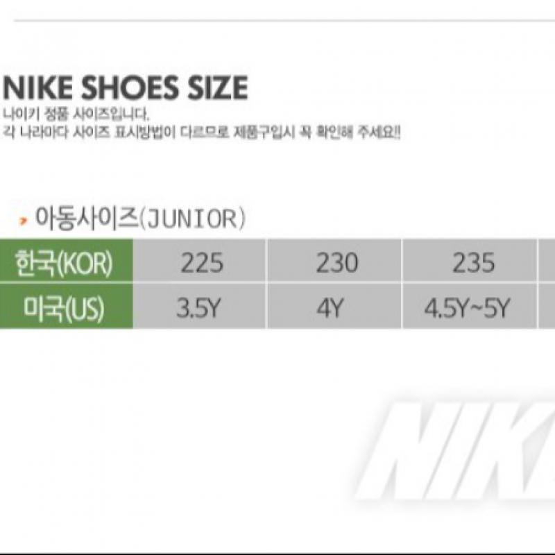 Nike Dunk Low Dh9765 100