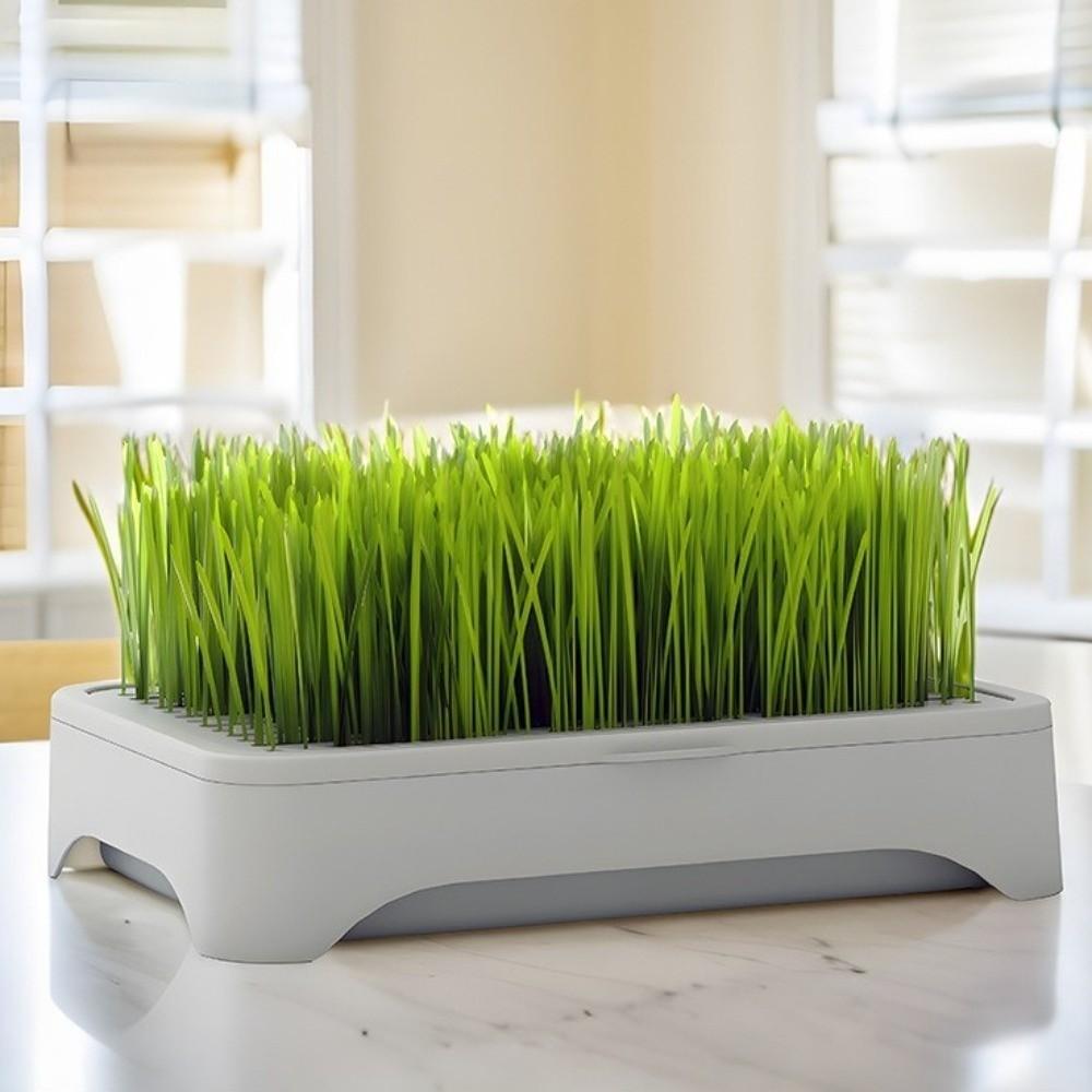 Self-planted Tray Cat Grass Planter Anti-Pull Out Wheat Seedling Pot Home Gardening