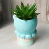 Resin Fairy Flowerpot Girl Statue Succulent Planter Pot Face Planters Pots  Office