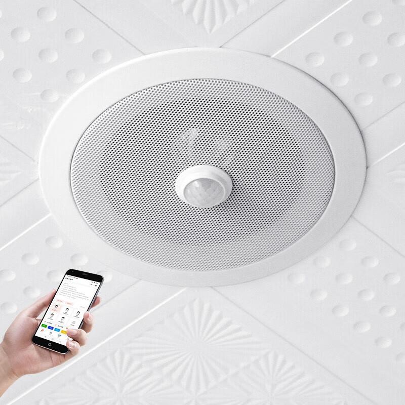 Edifier YX160 Ceiling Speaker CN plug (adapter included) (CN version)