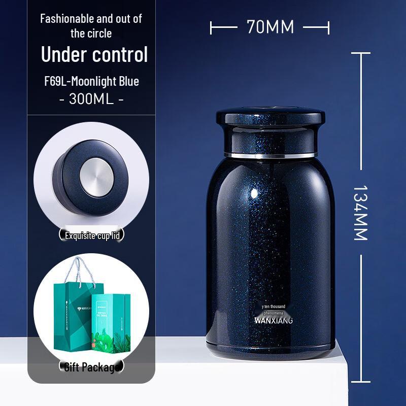 Wanyou Portable Vacuum Insulated Tea Infuser Cup