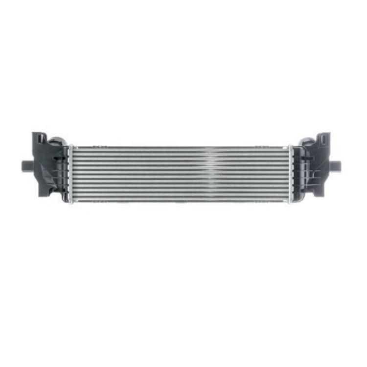 17118743665 Compatible Radiator for BMW 5 G30