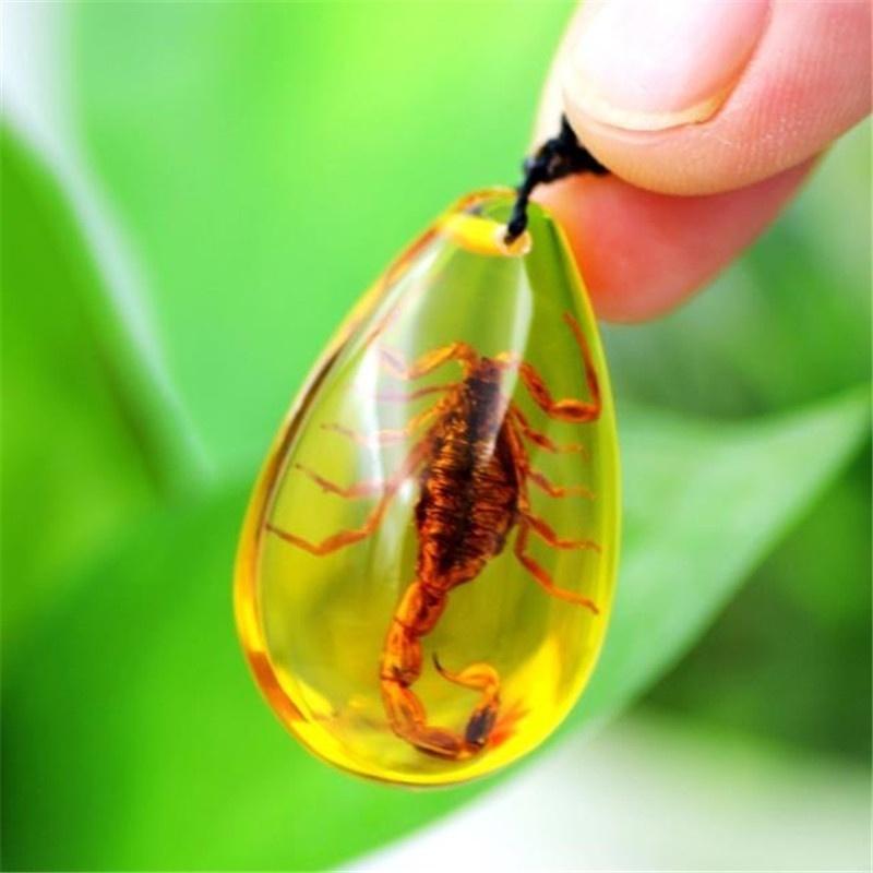 Insect Stone Natural Scorpions Inclusion Genuine Amber Baltic Pendant Necklace