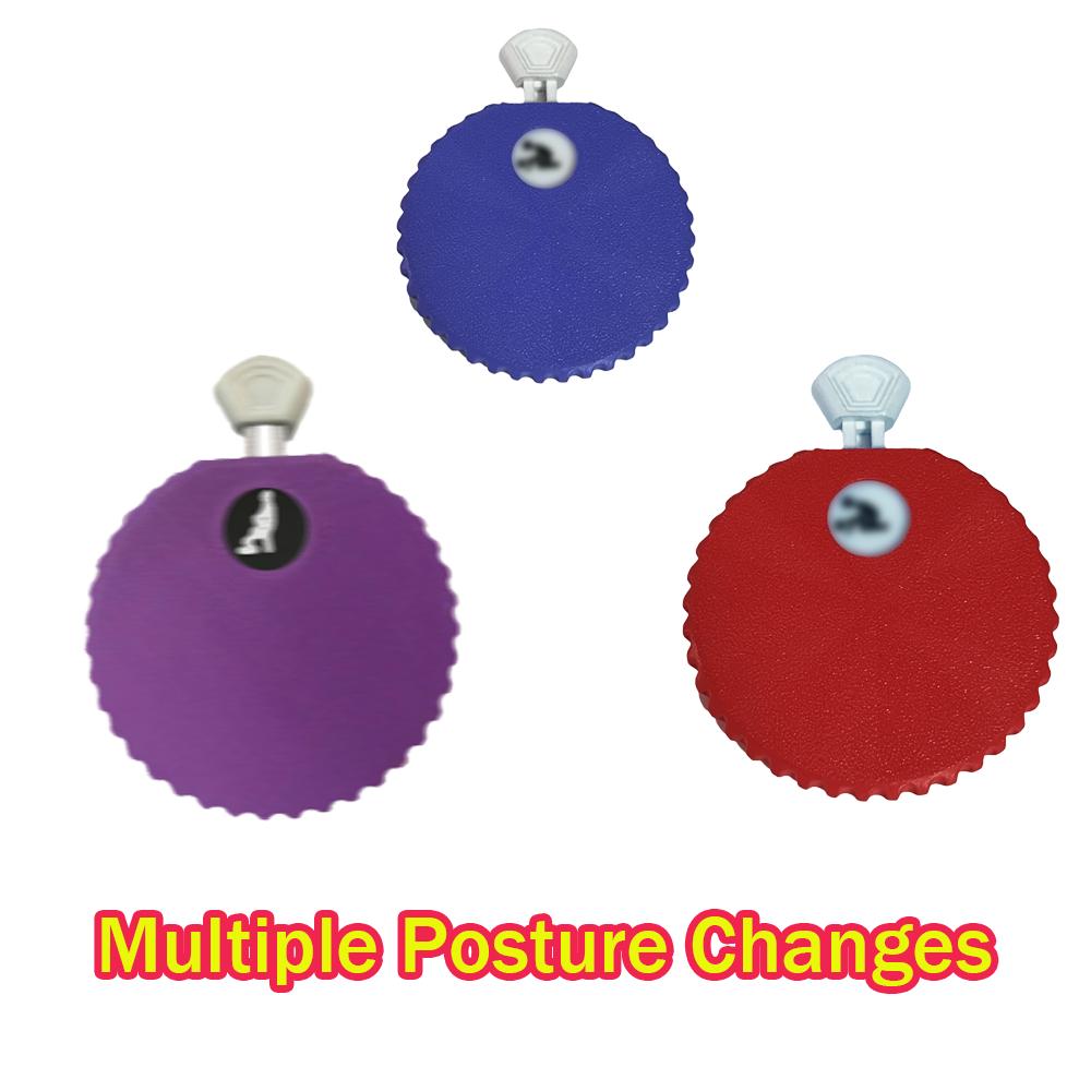 Zábavný volič poloh Spinner Sexuální hračka pro páry – Kolo náhodných poloh, Interaktivní ložnicová hra, Cestovní dárek na párty