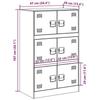 VidaXL Buffet Pink 67x39x107 Cm Steel, Cabinet, Side Cabinet, Storage Cabinet, Cabinets, Cupboard, High Buffet, 841656