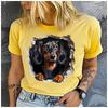Women's Cotton 100% Interesting Dog Print T-shirt Loose round Neck Casual Short Sleeve Fashion Top Wholesale Clothing Summer