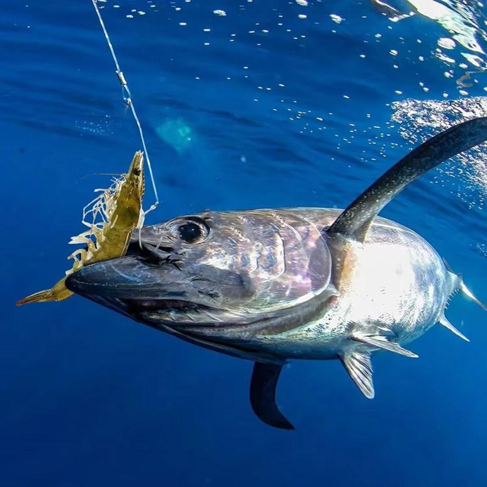 10Pcs High Strength Luminous Live Shrimp Fishing Hooks Heavy Duty Fishing Fixed Hooks  Live Bait