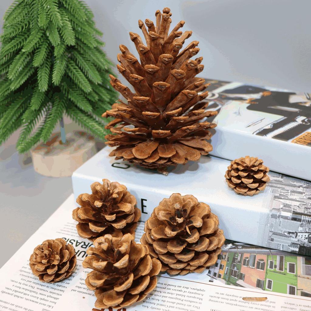 1-15CM Pine Cone Christmas Ornament: Creative DIY Handmade Decoration & Photography Prop