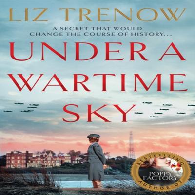 Under a Wartime Sky by Liz Trenow Paperback Book 9781509879847