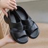 Open-toed platform thick-heeled sandals women's leather cross-strap Roman shoes summer new skirt