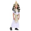 Children's Egyptian Pharaoh King Dress European and American Ball Ethnic Theme Character Costume Dress Up Costume