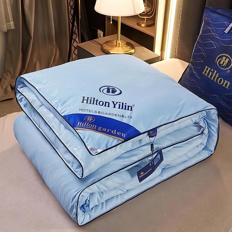 

LISM All-Season Warm Duvet Insert