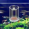 Mangiatoia Automatica Trasparente per Acquario ad Alta Capacità Strumenti per l'Alimentazione del Cibo per Pesci Accessori per Acquario Tubo di Alimentazione Acrilico per Acquario