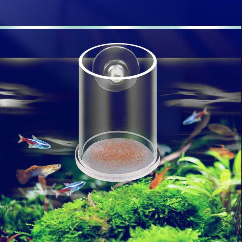 Mangiatoia Automatica Trasparente per Acquario ad Alta Capacità Strumenti per l'Alimentazione del Cibo per Pesci Accessori per Acquario Tubo di Alimentazione Acrilico per Acquario