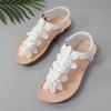 Large Size Flat Sandals Women's Mezzie Flowers Large Size Bohemian Beach Sandals