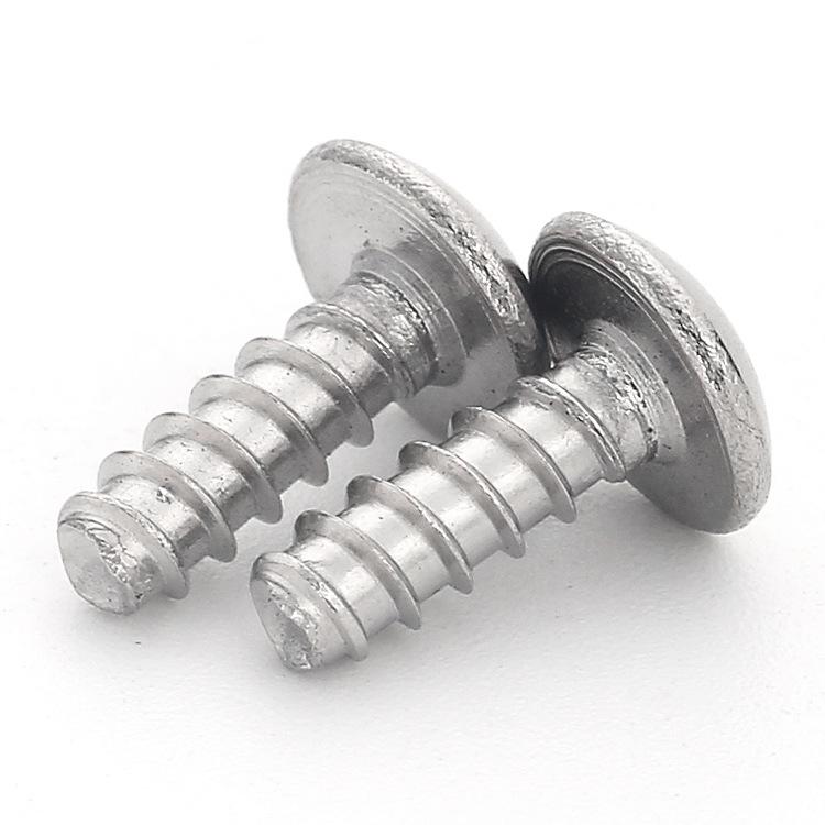 304 Stainless Steel Mushroom Head Phillips Self-Tapping Screw (m3-m4)