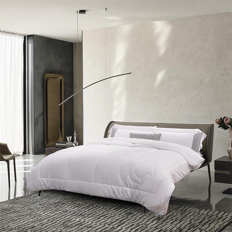 Mercury Home Textiles All-Season Antibacterial Soy Fiber Quilt