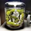 Mikro-Landschaft Glasflaschen Kreativität Tausammlung Glasvase Sukkulente Moos Landschaft Glas-Terrarium Heimdeko